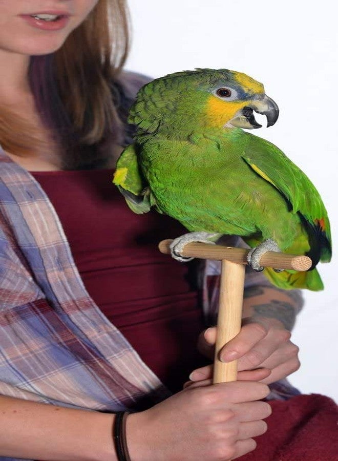 Western Era Hand Held Stand for Handling Birds, Taming and Trainning for Small, Medium & Large Birds - Image 3